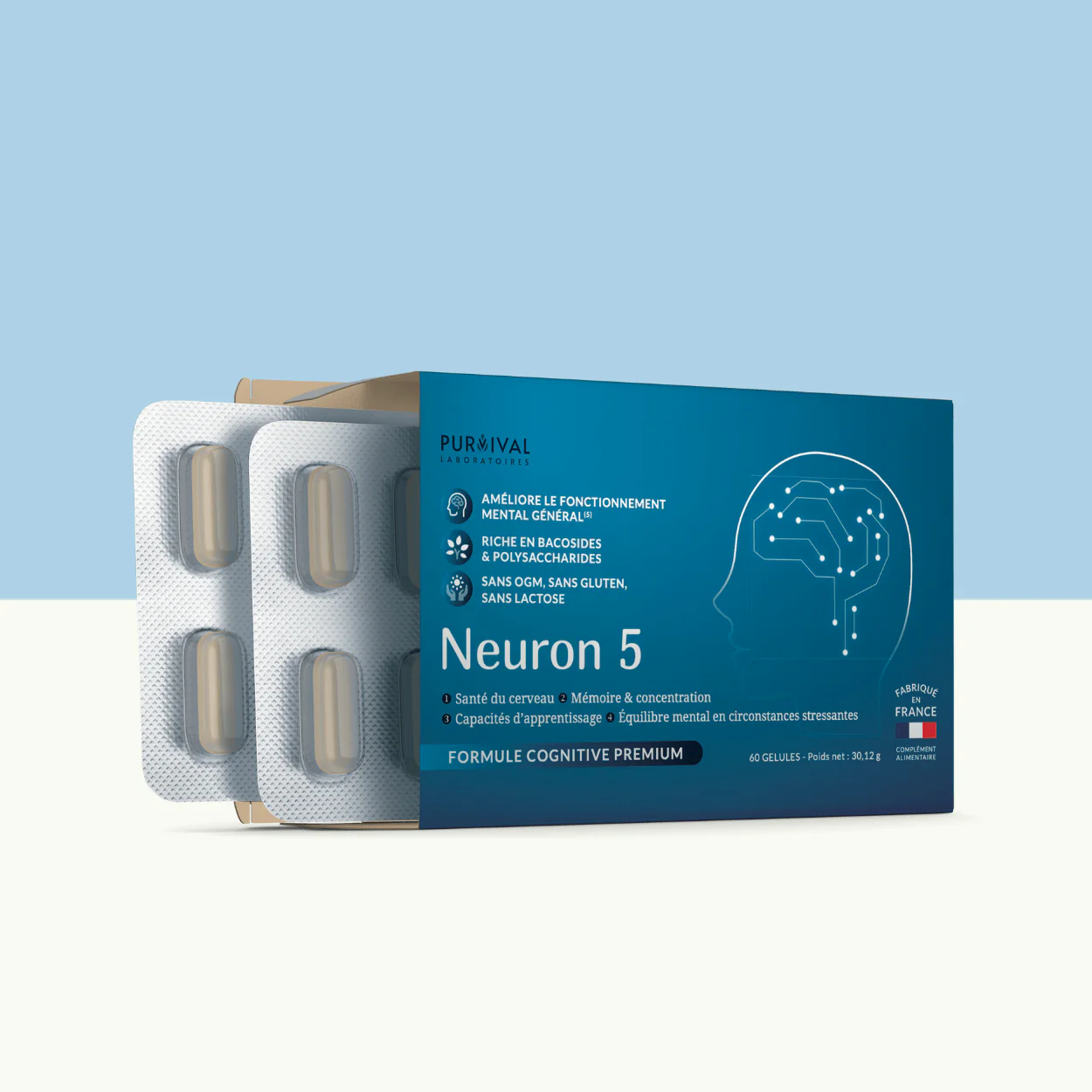 Neuron 5 (Bacofor)